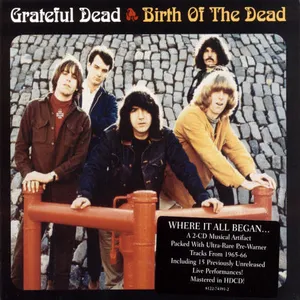 The golden road (1965-1973)